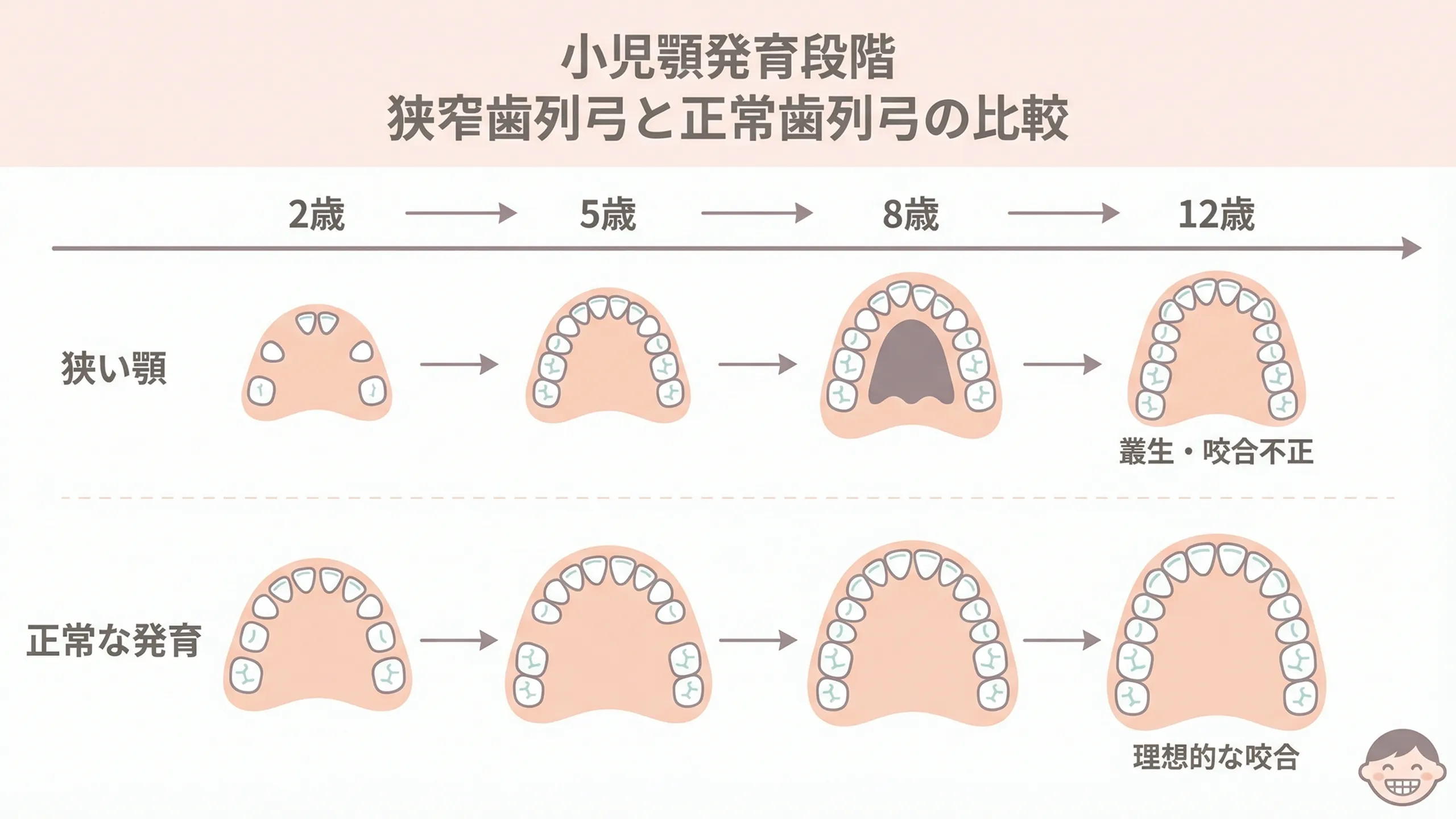 あごの健やかな成長を促せるイメージ画像