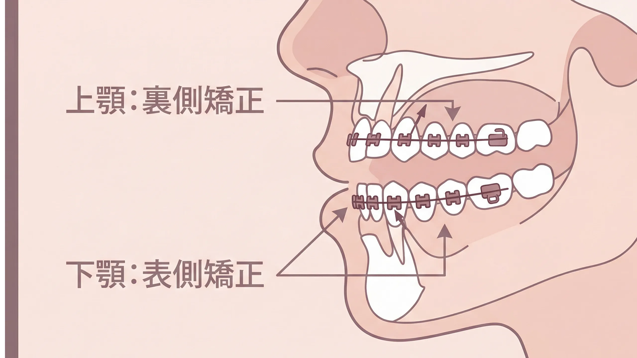 子どもが慣れる様子画像